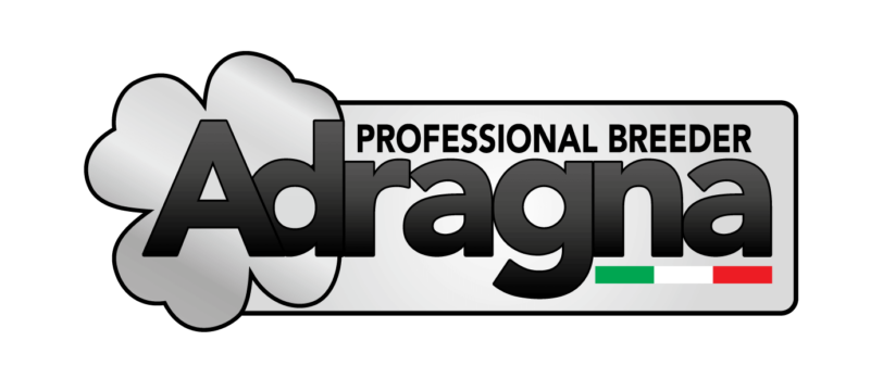 ADRAGNA | ProFit - immagine 2