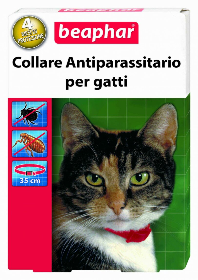 collare antiparassitario gatto