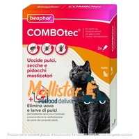 combotec gatto mollistar.it