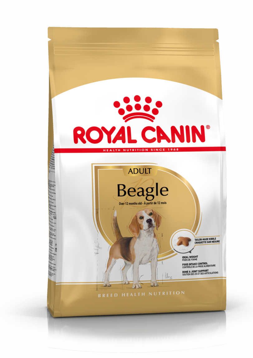 Royal Canin | Beagle Adult mollistar.it