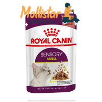 Royal Canin | Sensory™ SMELL bocconcini in salsa mollistar.it