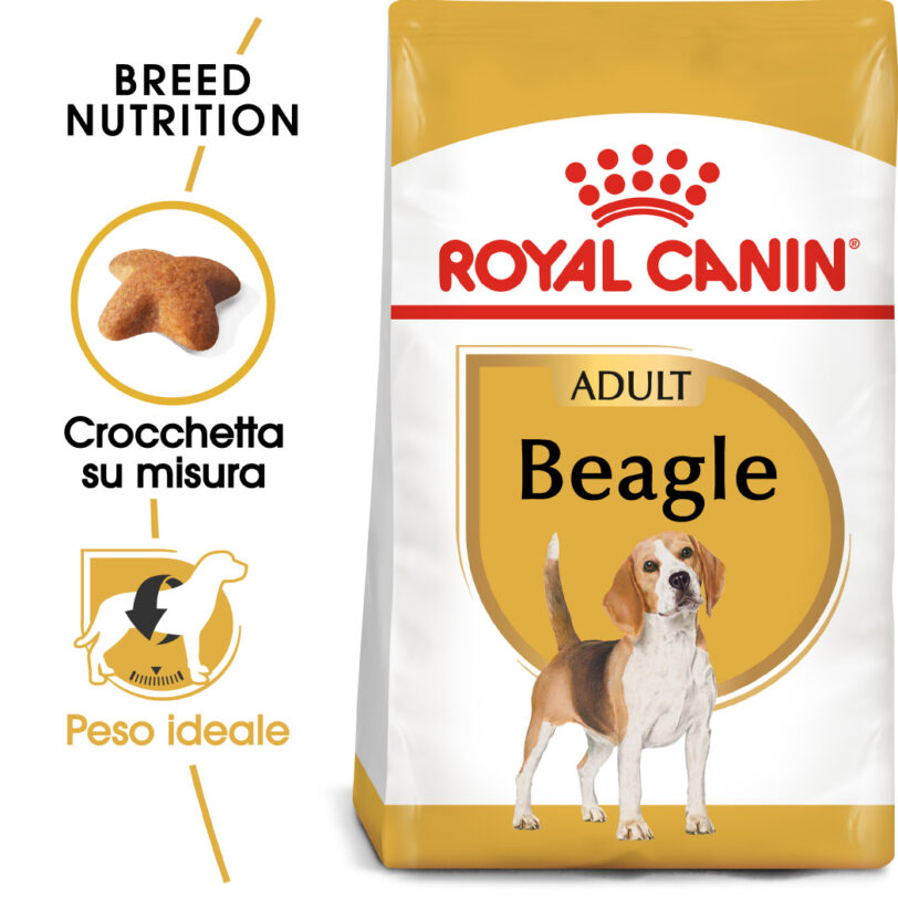 Royal Canin | Beagle Adult mollistar.it