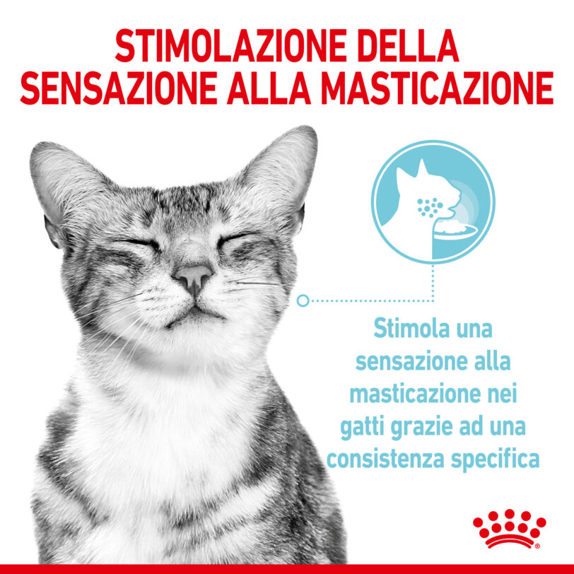 RoyalCanin| Sensory™ FEEL straccetti in gelatina mollistar.it