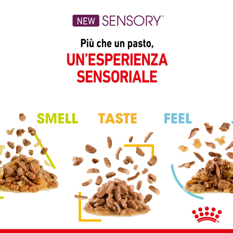 RoyalCanin| Sensory™ FEEL straccetti in gelatina mollistar.it