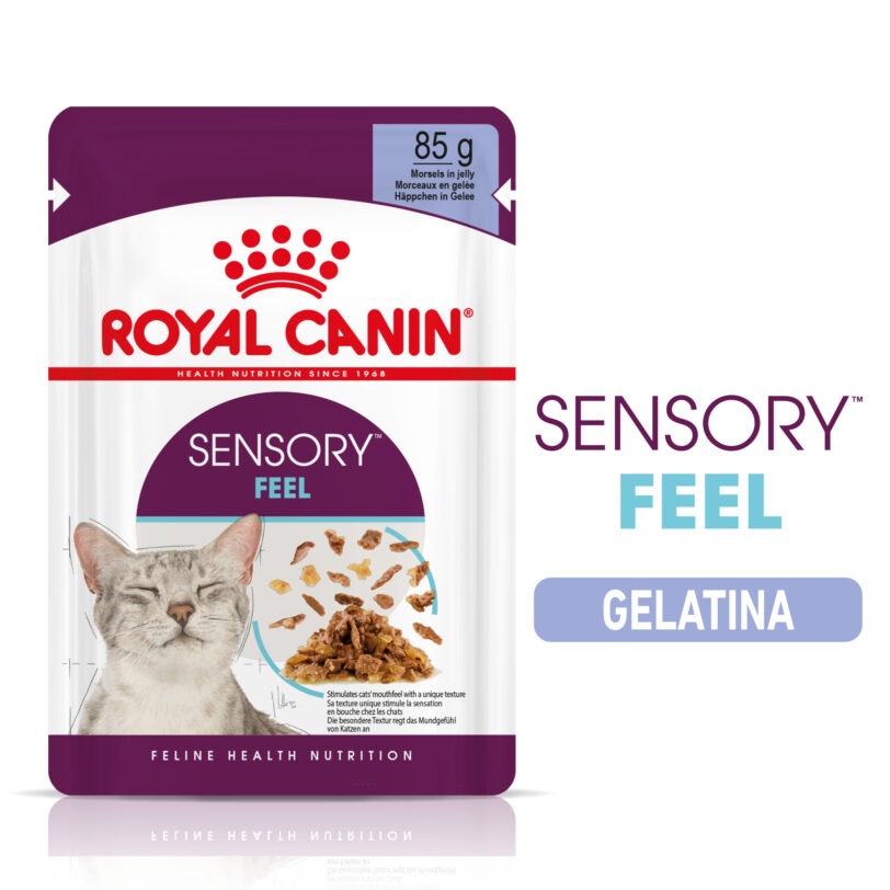 RoyalCanin| Sensory™ FEEL straccetti in gelatina mollistar.it