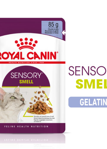 Royal Canin | Sensory™ SMELL bocconcini in gelatina mollistar.it