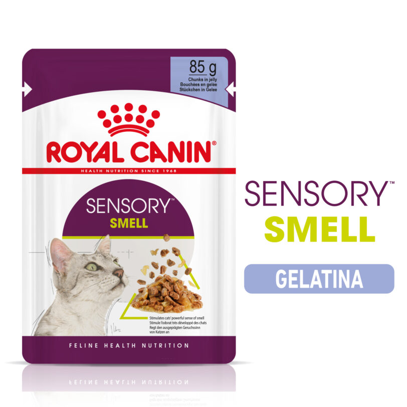 Royal Canin | Sensory™ SMELL bocconcini in gelatina mollistar.it