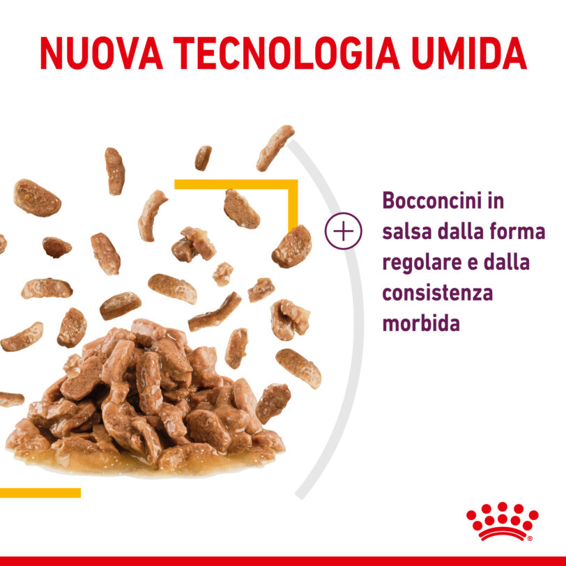 Royal Canin | Sensory™ TASTE bocconcini in salsa mollistar.it