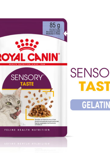 Royal Canin | Sensory™ TASTE bocconcini in gelatina mollistar.it