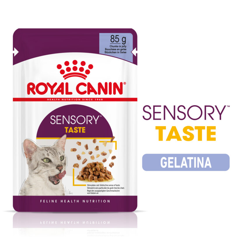 Royal Canin | Sensory™ TASTE bocconcini in gelatina mollistar.it