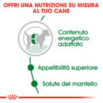Royal Canin | Mini Adult mollistar.it