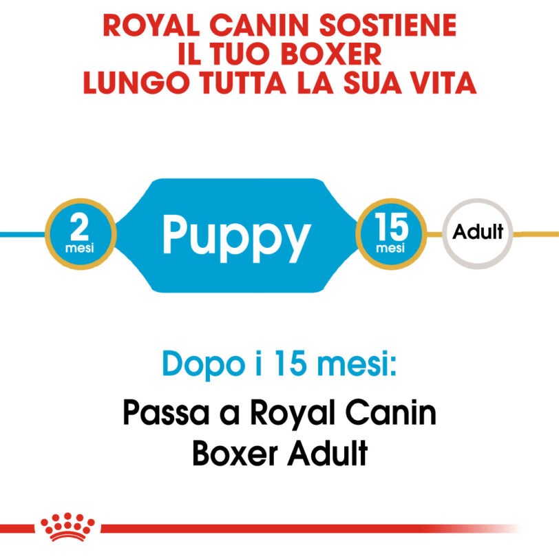 Royal Canin Boxer Puppy mollistar.it