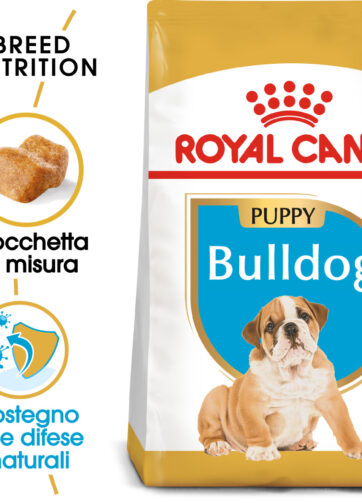 Royal Canin | Bulldog Puppy mollistar.it