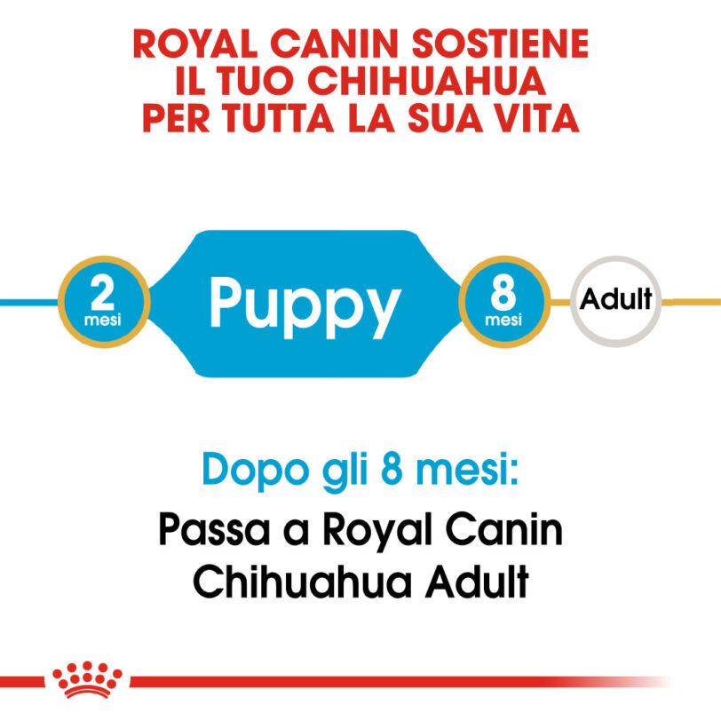 Royal Canin | Chihuahua Puppy mollistar.it