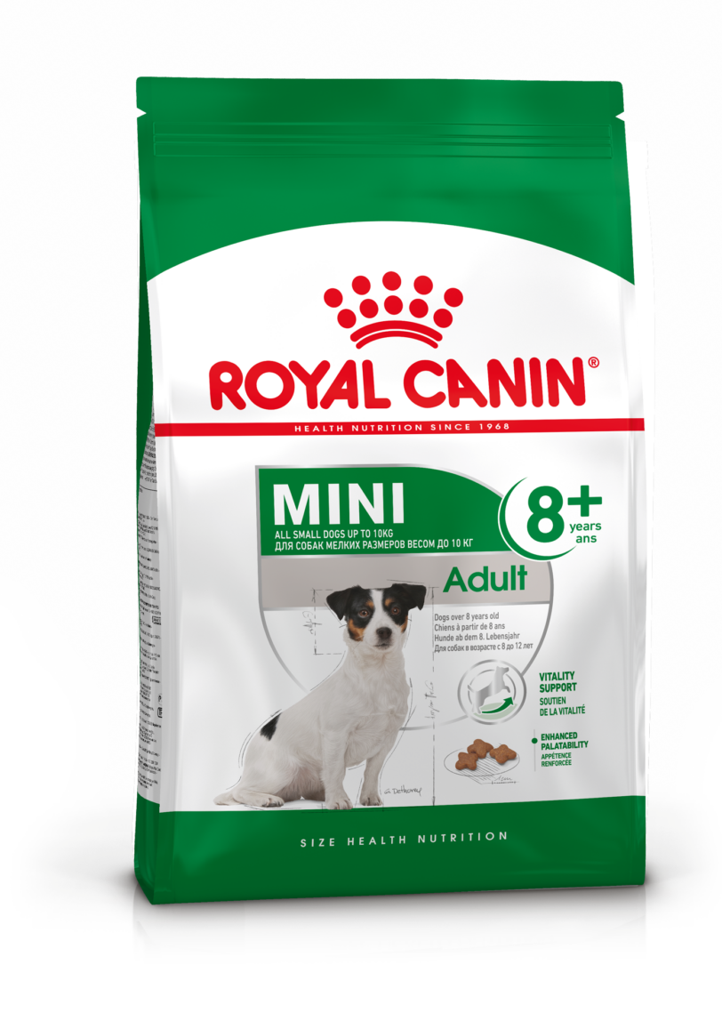 Royal Canin | Mini Adult 8+ mollistar.it