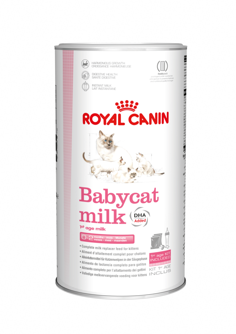 Royal Canin | First Age Babycat Milk mollistar.it