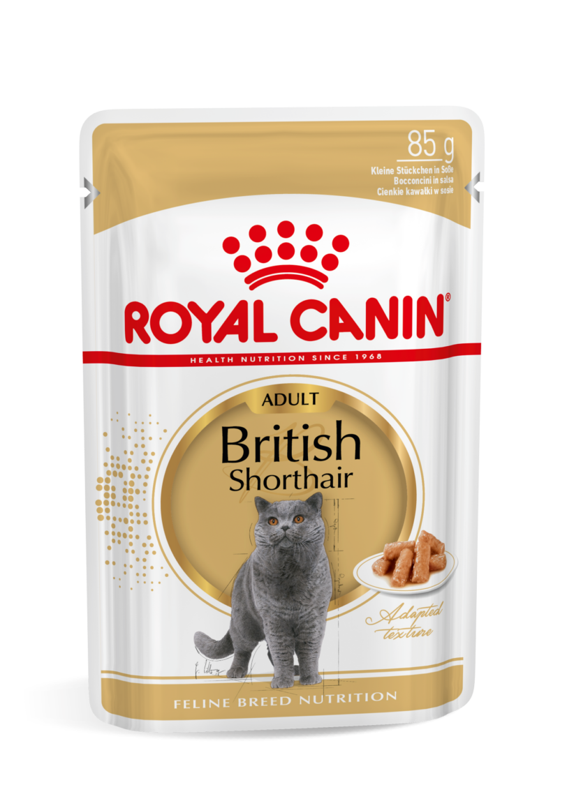 Royal Canin | British Shorthair Umido mollistar.it