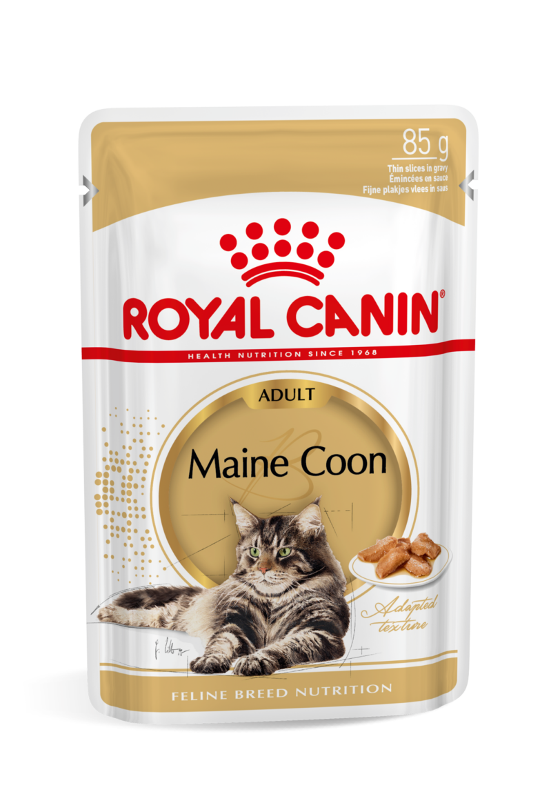 Royal Canin | Maine Coon Umido mollistar.it
