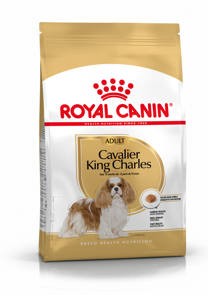 Royal Canin | Cavalier King Charles Adult mollistar.it