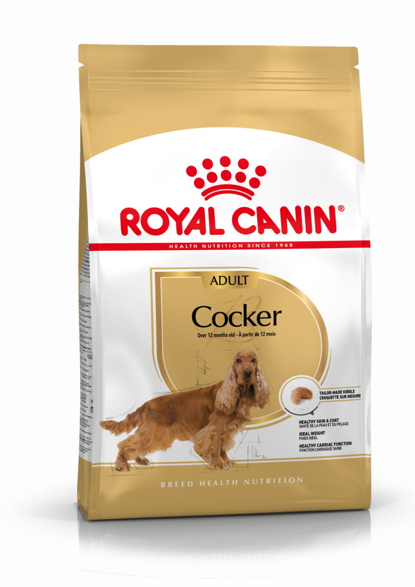 Royal Canin | Cocker Adult mollistar.it