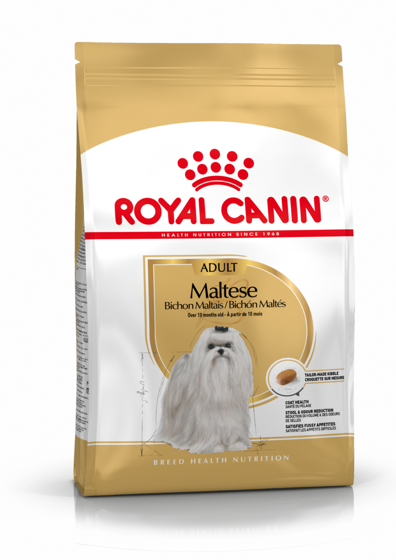 Royal Canin | Maltese Adult Secco mollistar.it