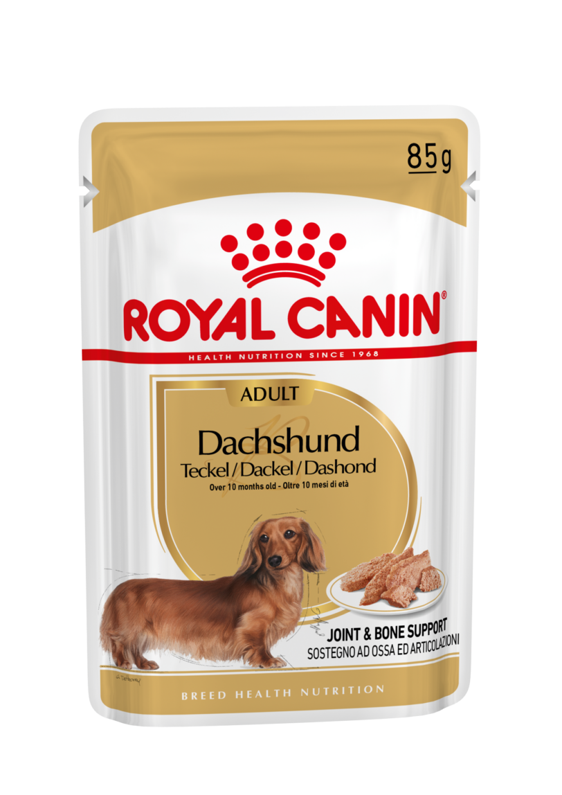 Royal Canin | Dachshund Adult Umido mollistar.it