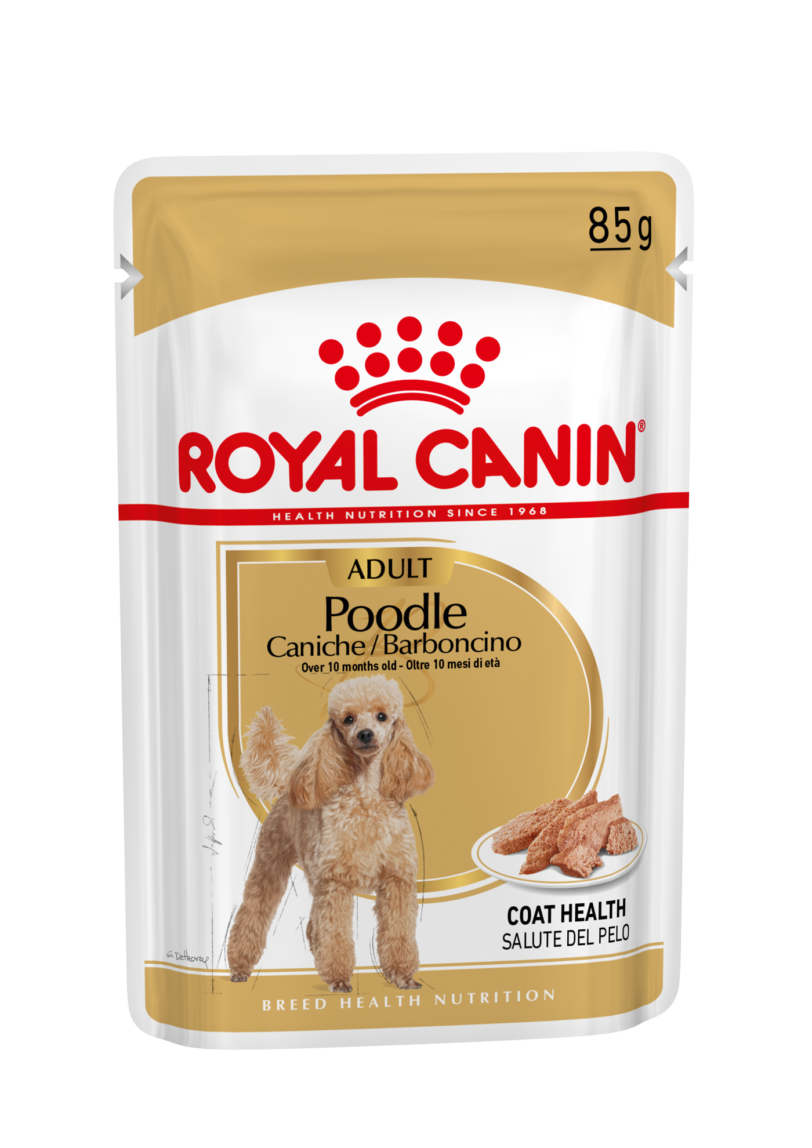 Royal Canin | Poodle Adult Umido mollistar.it