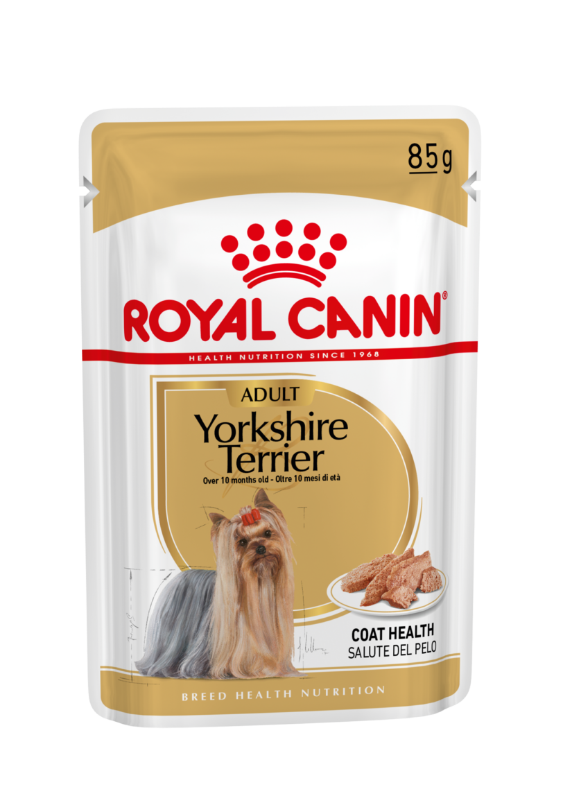 Royal Canin | Yorkshire Terrier Adult Umido mollistar.it