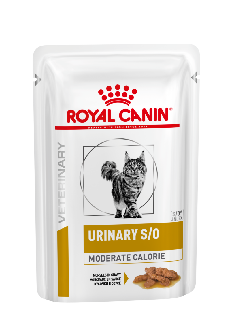 Royal Canin | Urinary S/O Moderate Calorie Cat (pouch) mollistar.it