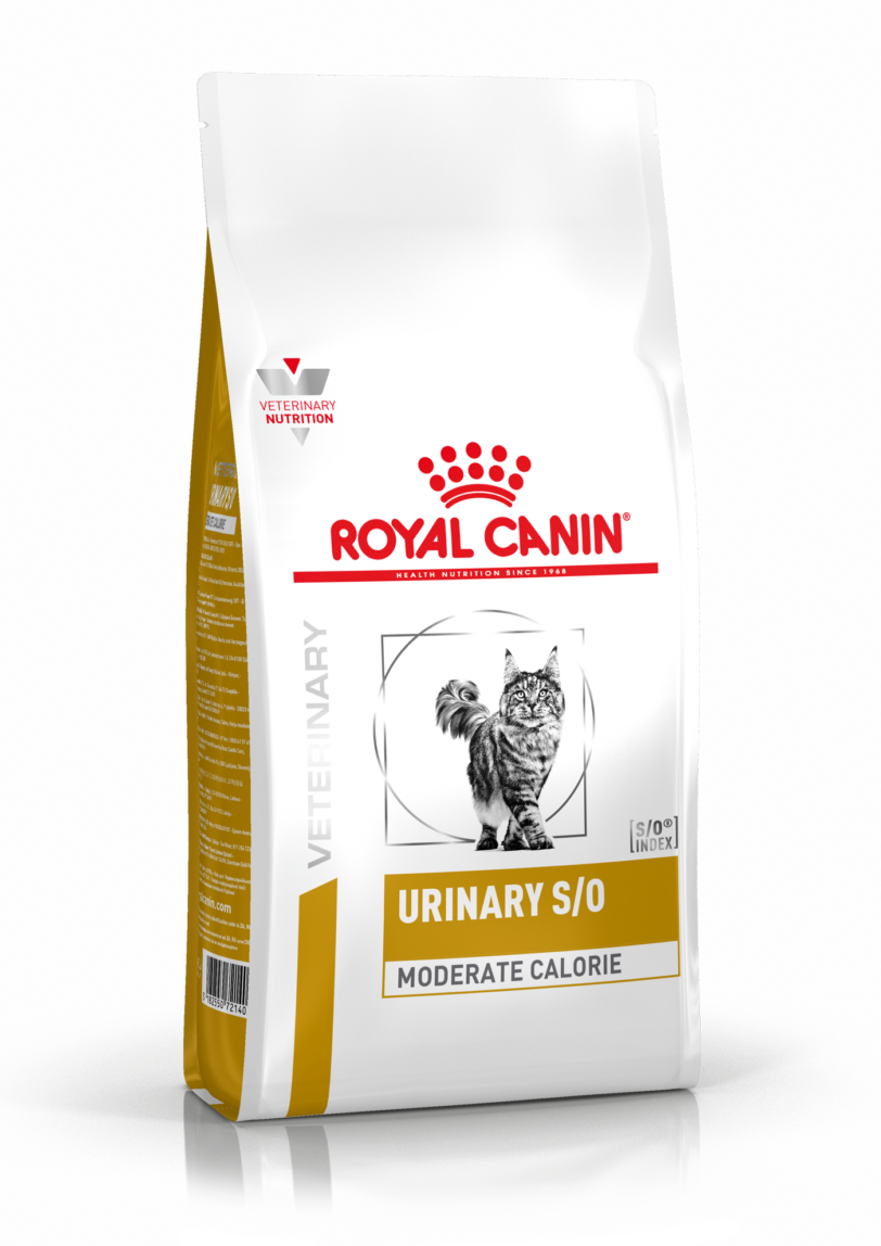 Royal Canin | Urinary S/O Moderate Calorie Cat mollistar.it