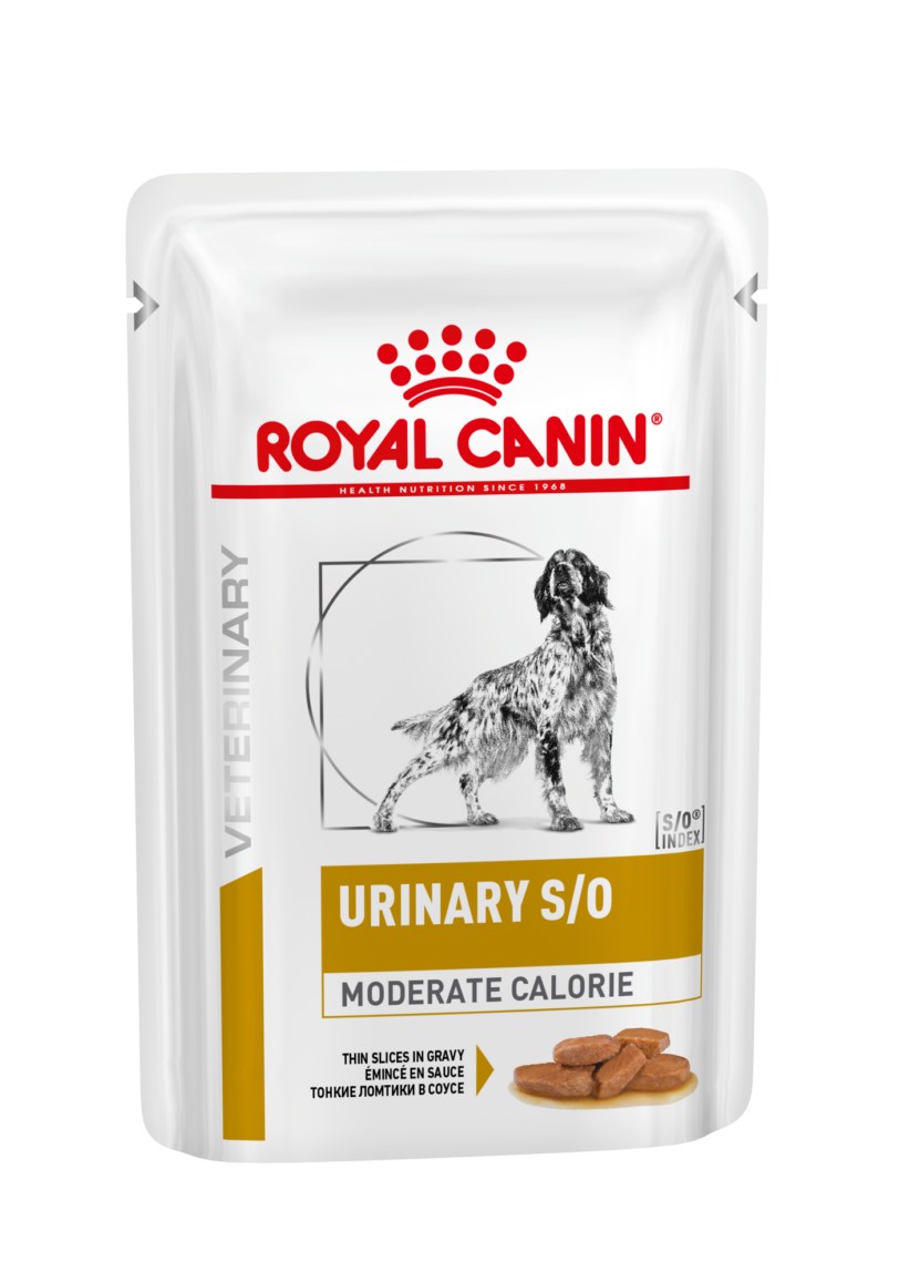 Royal Canin | Urinary S/O Moderate Calorie umido mollistar.it