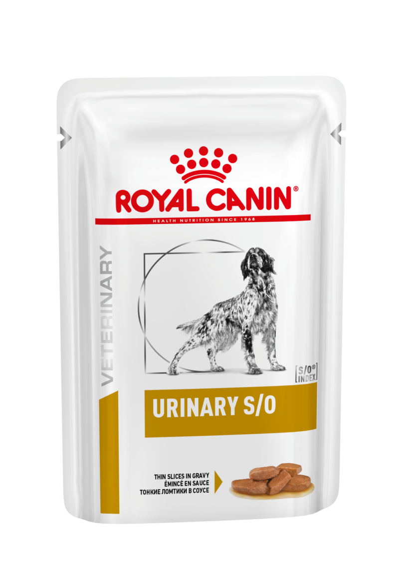 Royal Canin | Urinary S/O straccetti in salsa mollistar.it