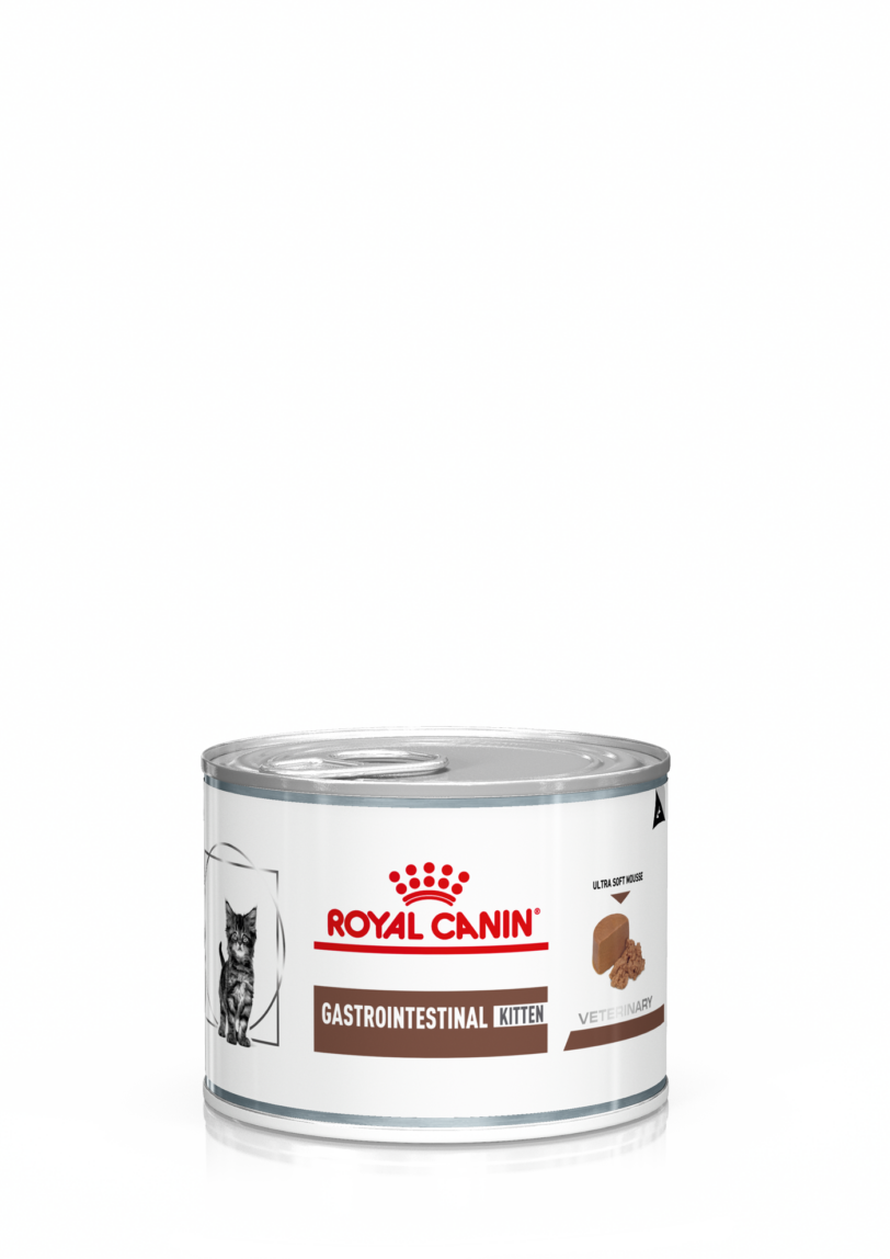 Royal Canin | Gastrointestinal Kitten Umido mollistar.it