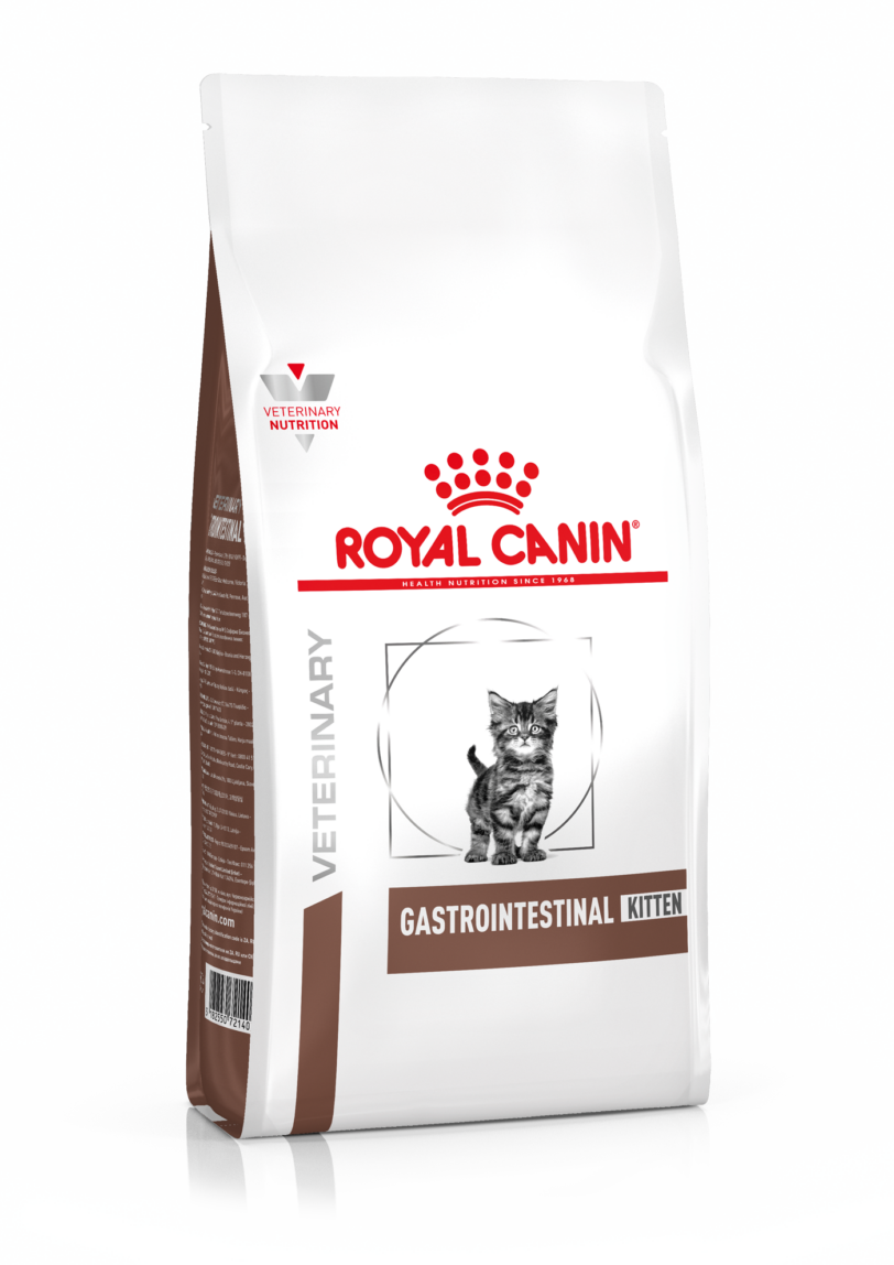 Royal Canin | Gastrointestinal Kitten Secco mollistar.it