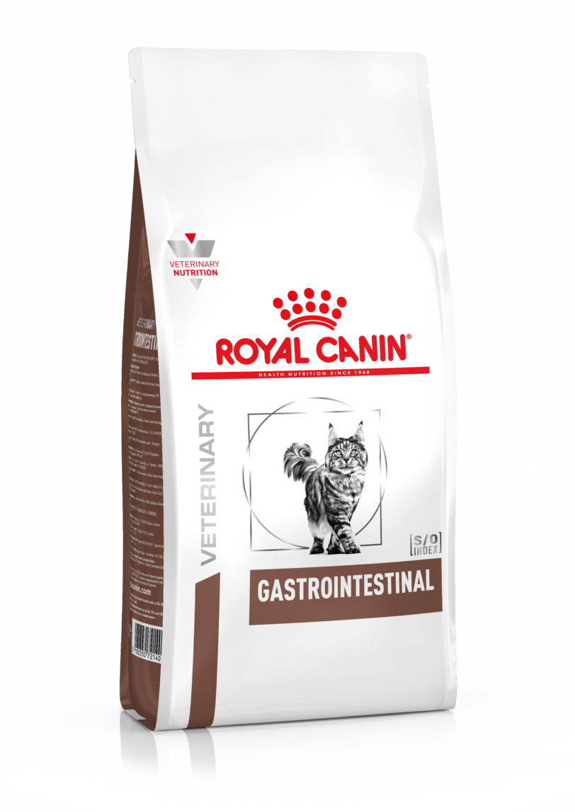 Royal Canin | Gastrointestinal Gatto Secco mollistar.it