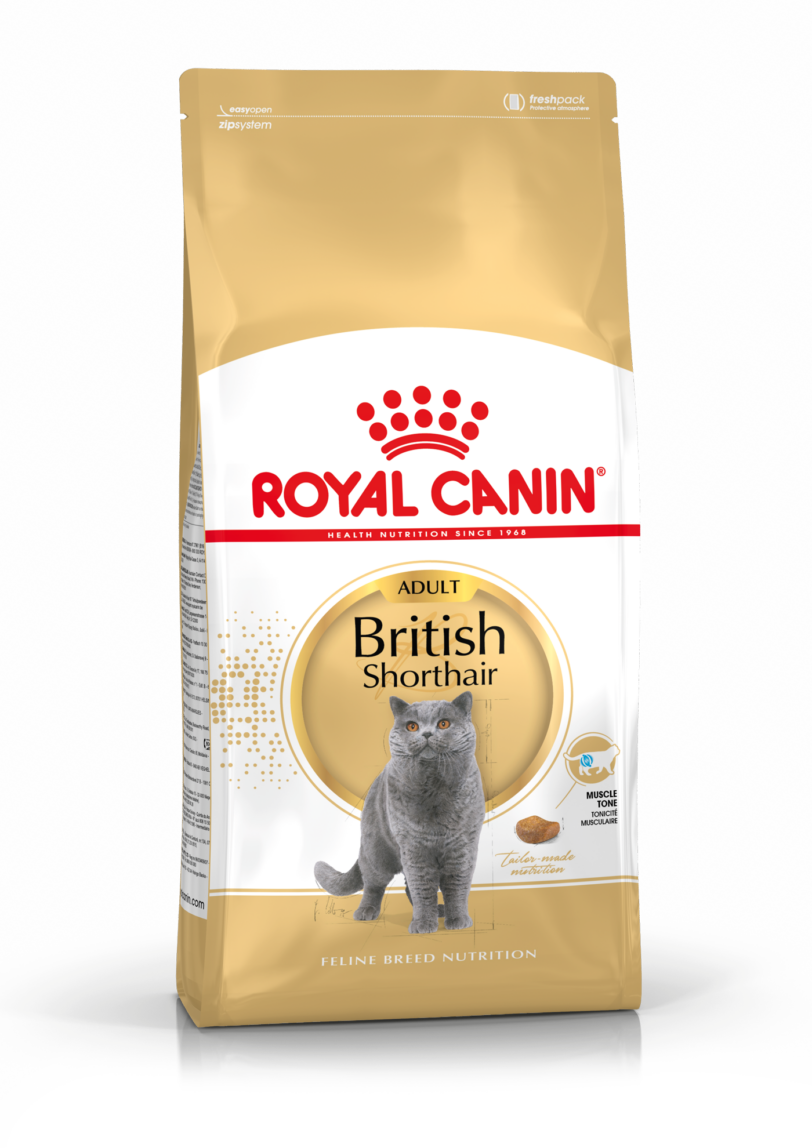 Royal Canin | British Shorthair Secco mollistar.it