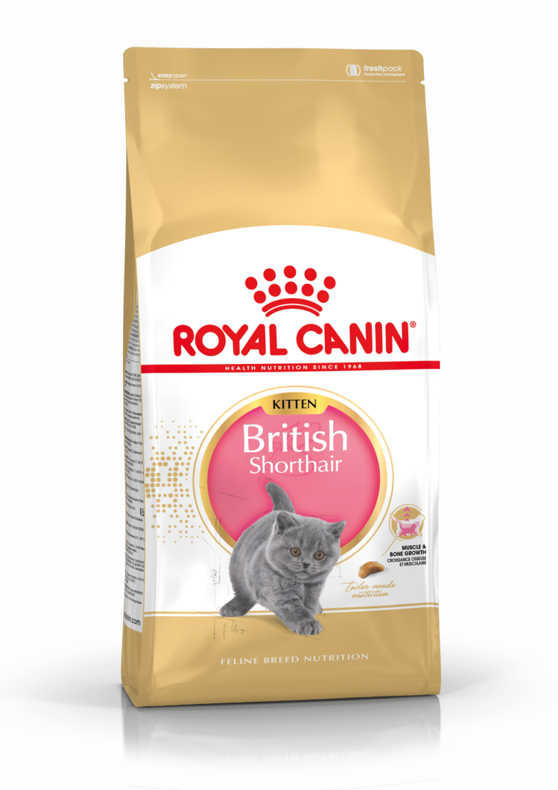 Royal Canin | Kitten British Shorthair mollistar.it