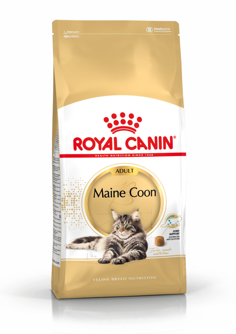 Royal Canin | Maine Coon Adult mollistar.it