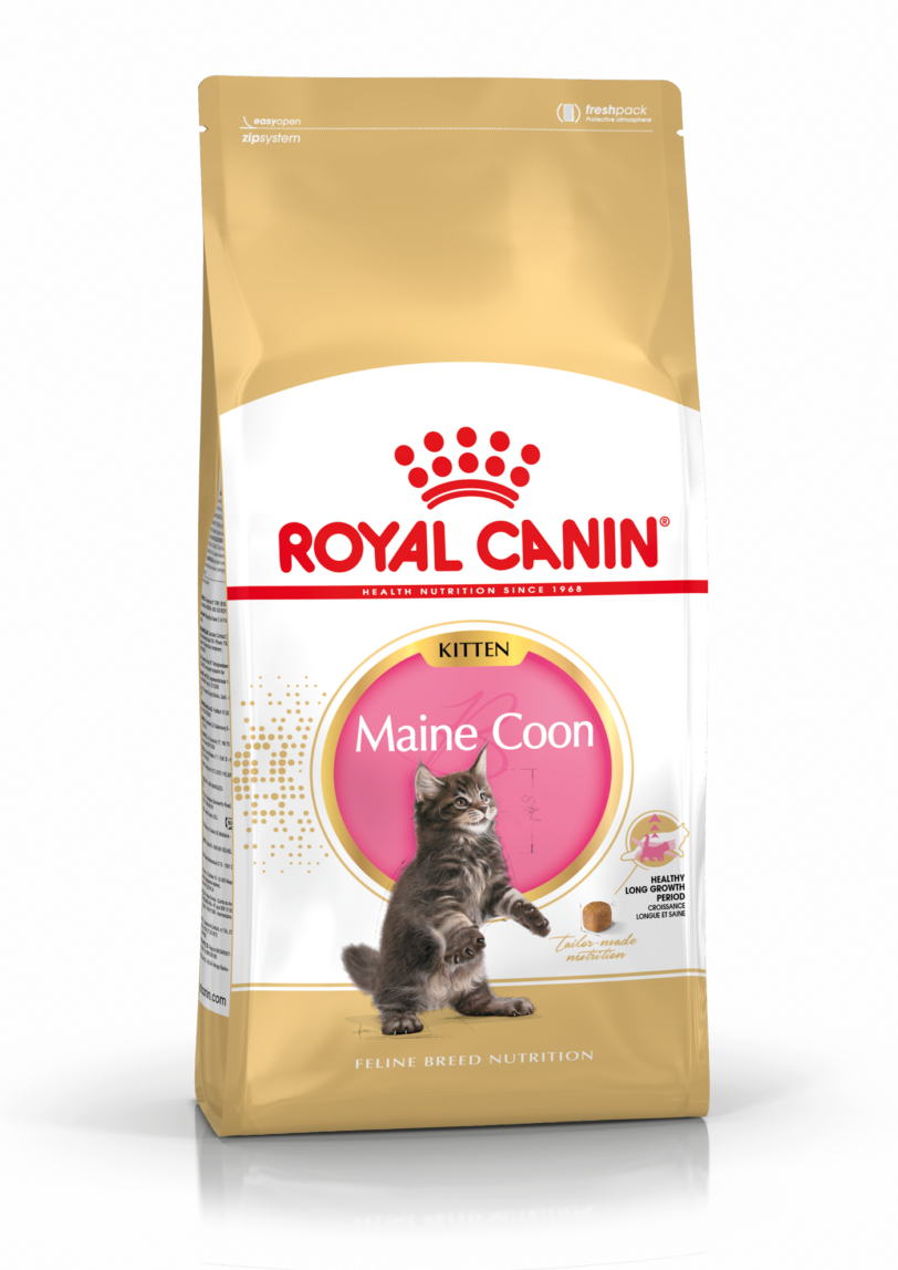Royal Canin | Kitten Maine Coon mollistar.it