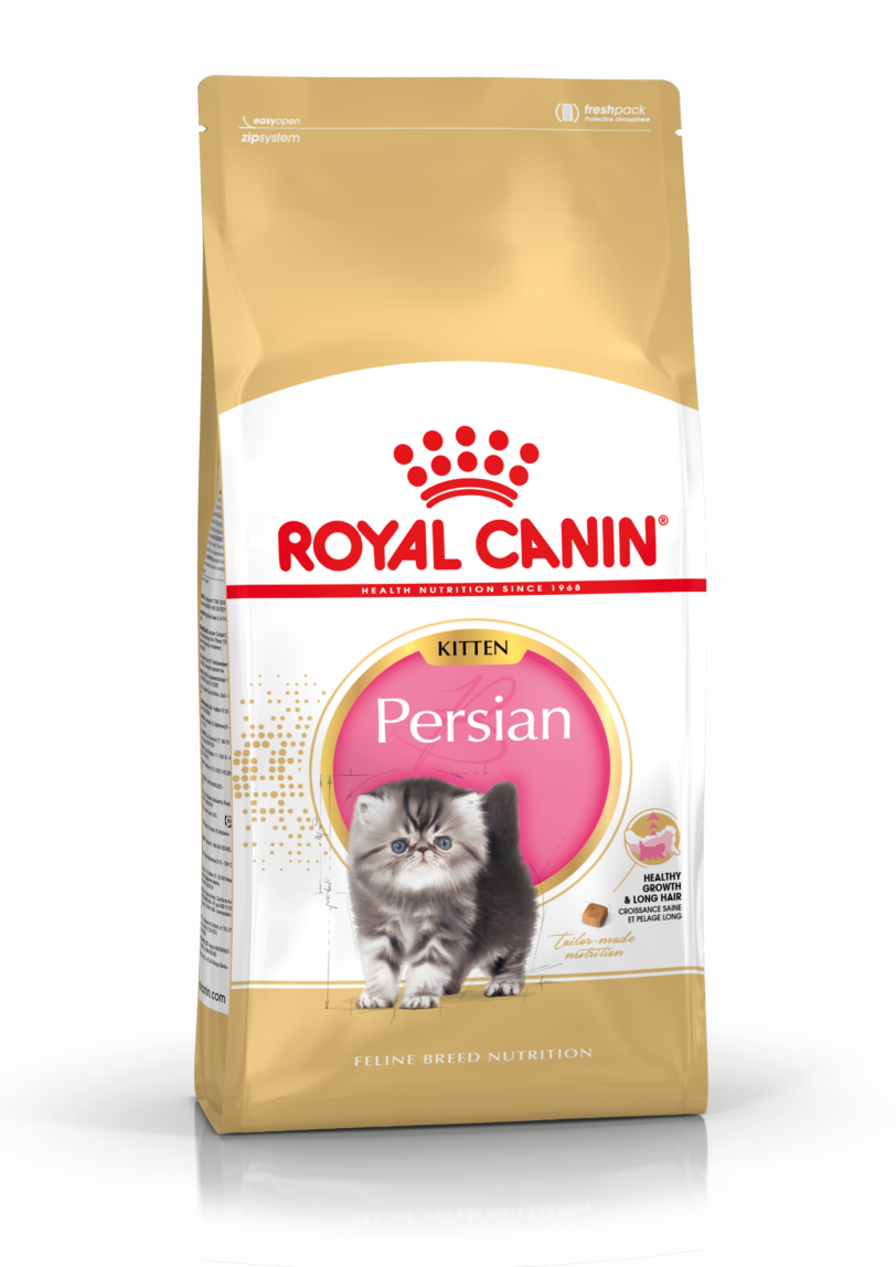 Royal Canin | Kitten Persian mollistar.it