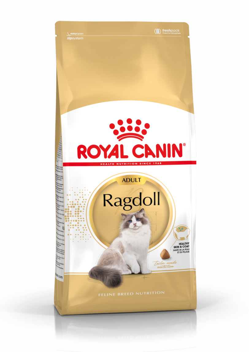 Royal Canin | Ragdoll Adult Secco mollistar.it
