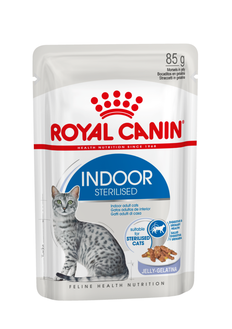 Royal Canin | Indoor Sterilised In Gelatina mollistar.it