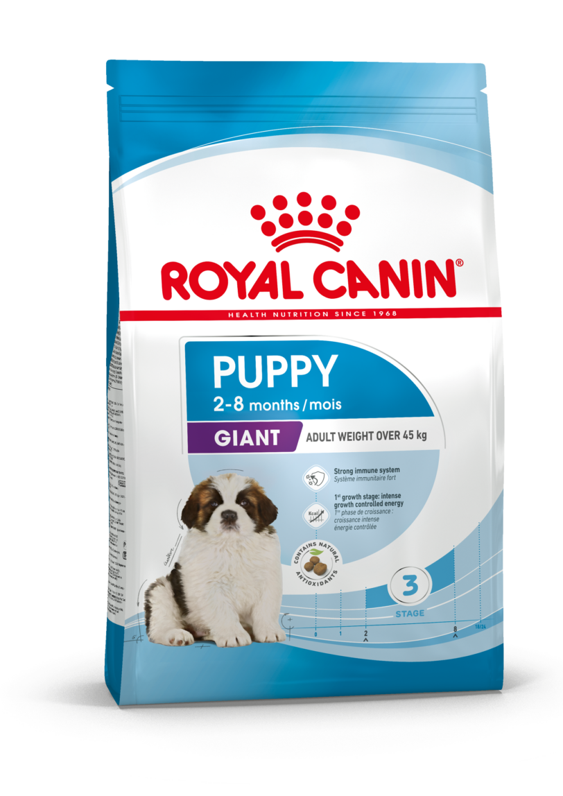 Royal Canin | PUPPY - GIANT mollistar.it