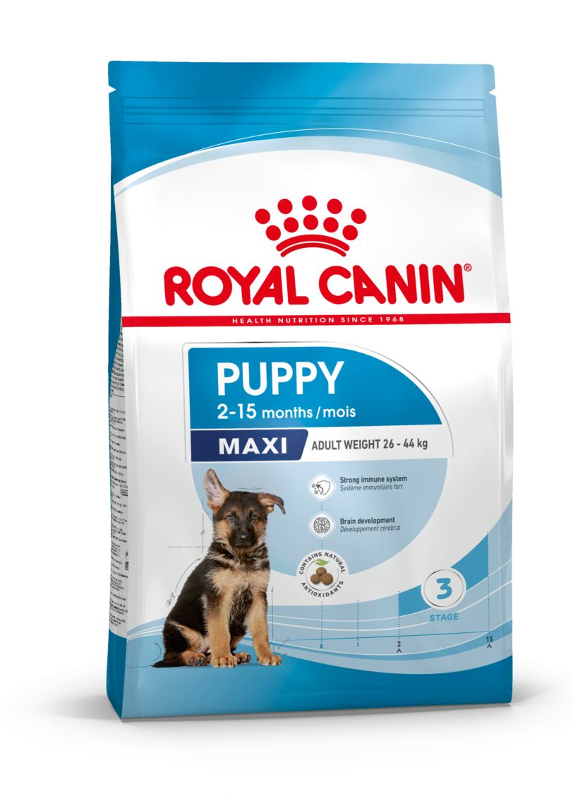 Royal Canin | PUPPY - MAXI mollistar.it