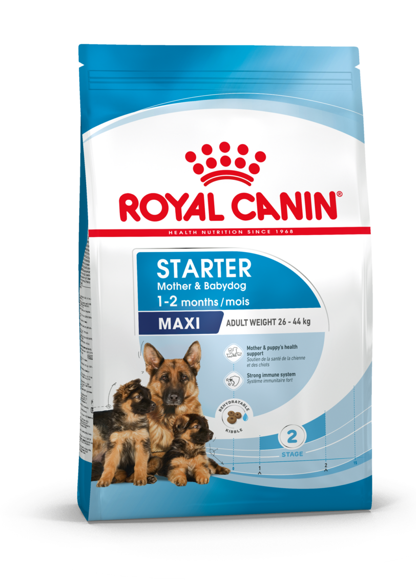 Royal Canin | MAXI STARTER Mother & Babydog mollistar.it