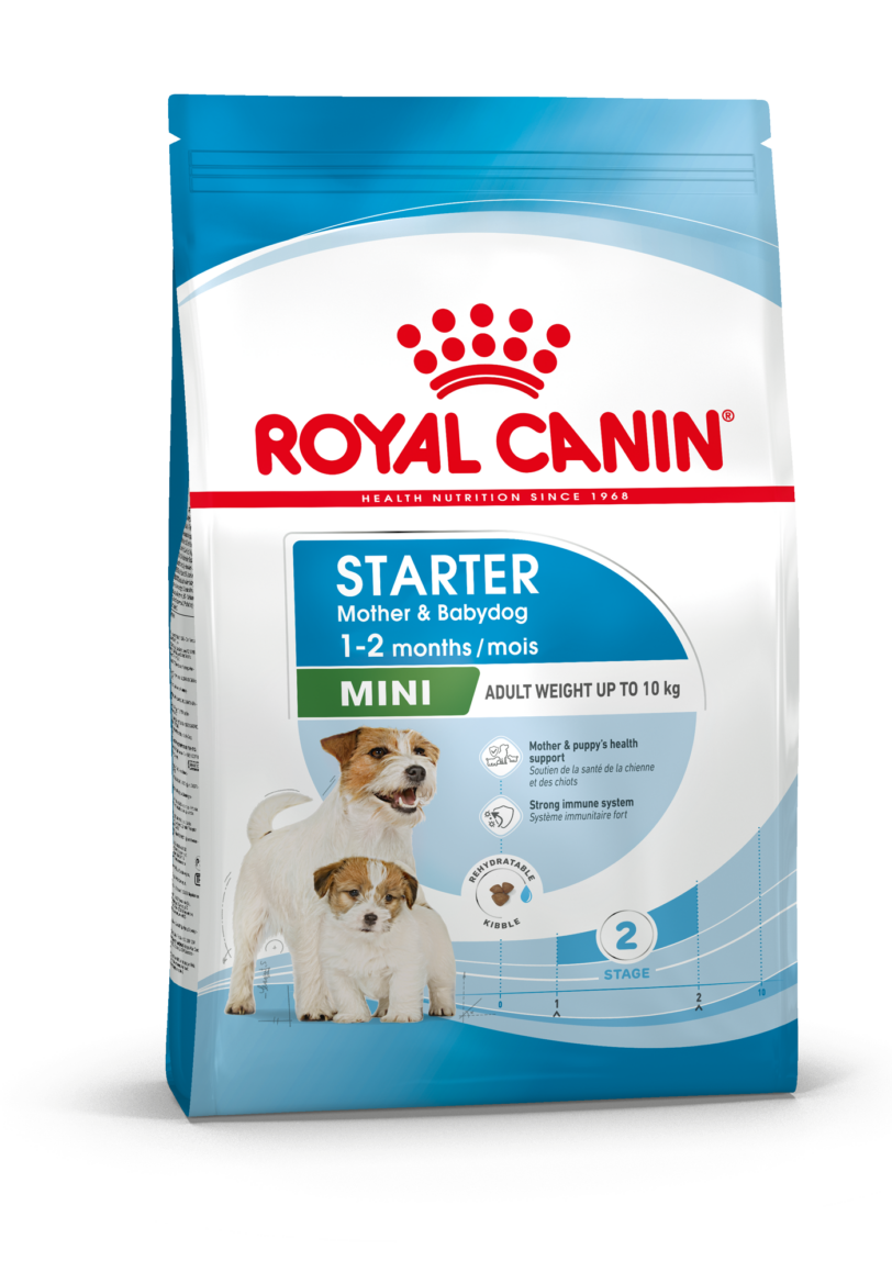 Royal Canin | MINI STARTER Mother & Babydog mollistar.it