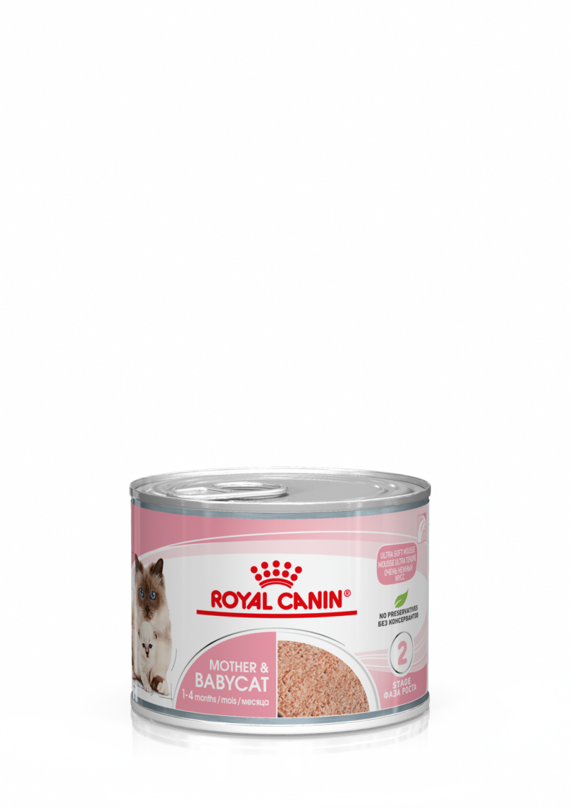 Royal Canin | Babycat Instinctive (mousse ultra soffice) mollistar.it