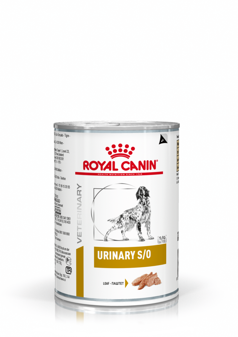 Royal Canin | Urinary S/O Paté Dog mollistar.it