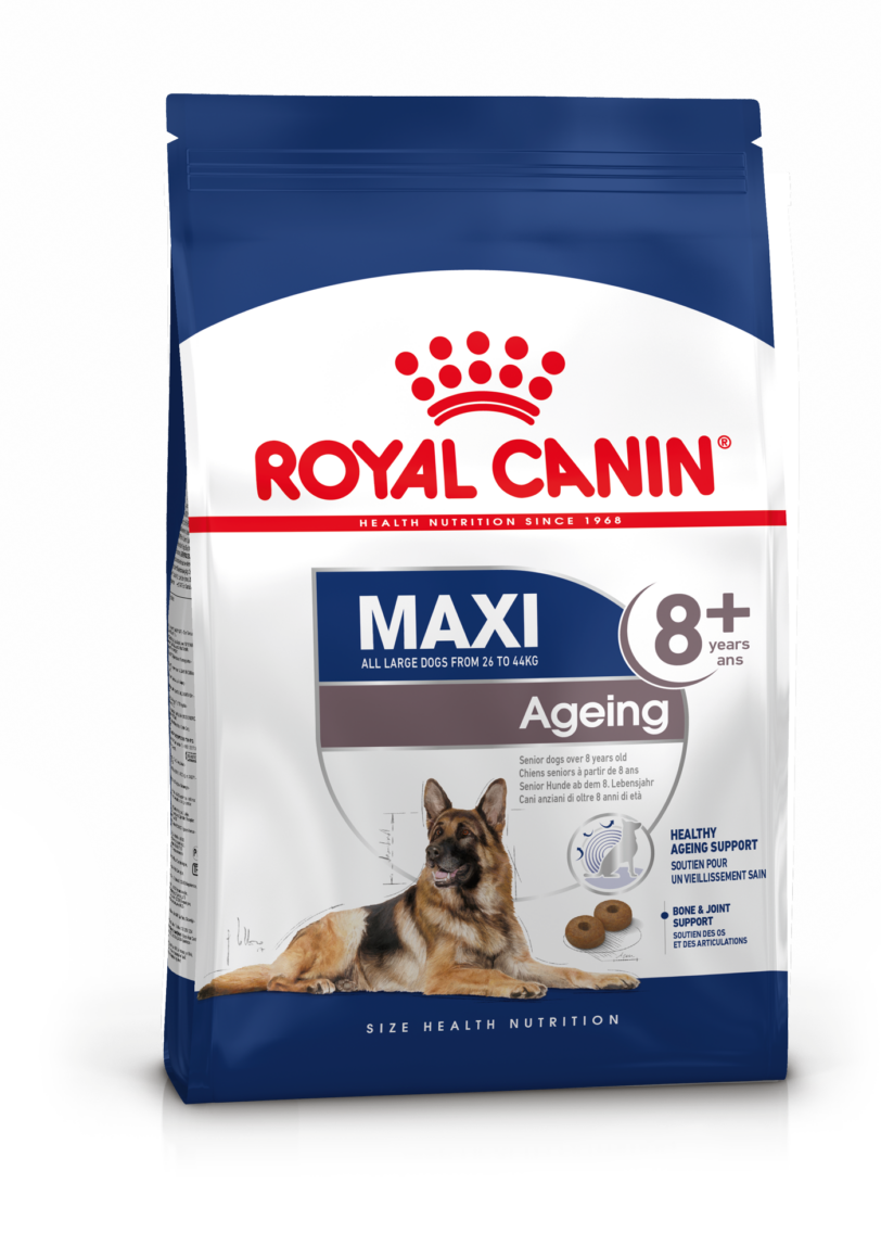 Royal Canin | Maxi Ageing 8+ mollistar.it