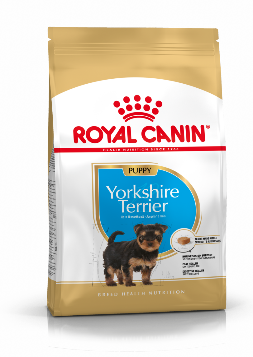 Royal Canin | Yorkshire Terrier Puppy Secco mollistar.it